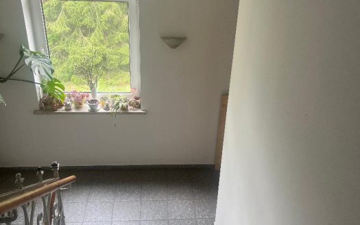 3 ZBK in Chemnitz * Bad mit Wanne und Fenster* und EBK*