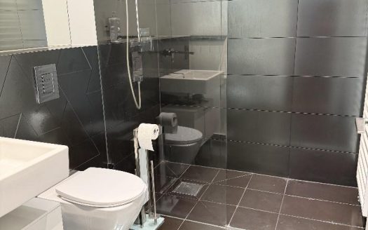 Neu – ab sofort frei *Berlin*Mitte* Stilvolles 2 Zimmer Appartment *Frei Ab sofort*