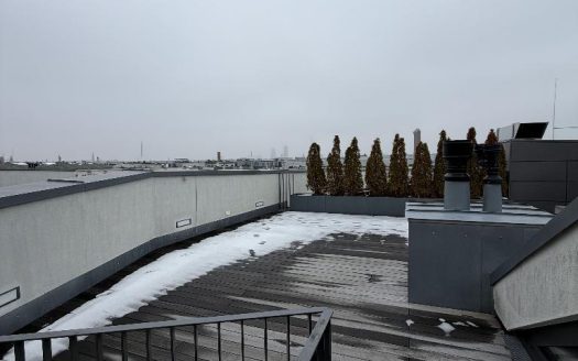 Neu – ab sofort frei *Berlin*Mitte* Stilvolles 2 Zimmer Appartment *Frei Ab sofort*
